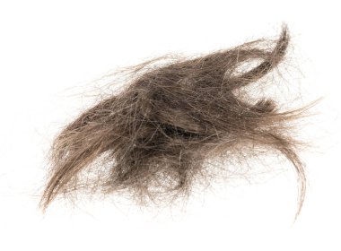 Beyaz arka planda saç tokası izole edilmiş. kabarık saç yakın plan.