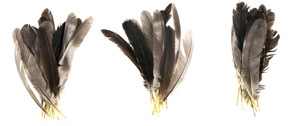 Natuurlijke Vogelveren Geïsoleerd Een Witte Achtergrond Collageduif Ganzen Kippenveren Close — Stockfoto