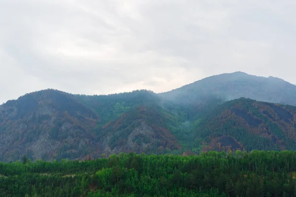 Beautiful Mountain Summer Landscape Afternoon — Stock Photo, Image