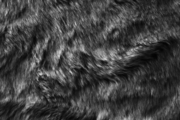 Černá Skutečná Vlna Béžovou Horní Texturou Pozadí Tmavá Přírodní Ovčí — Stock fotografie