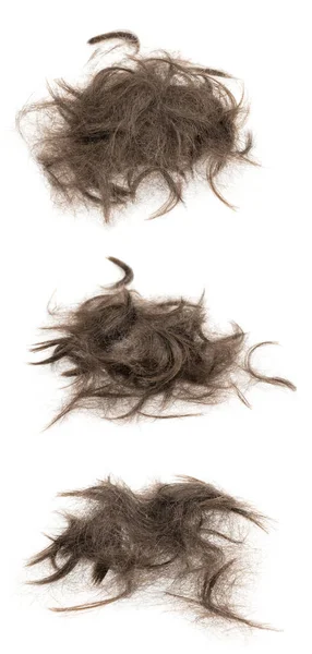 Δέσμη Μαλλιών Απομονωμένη Λευκό Φόντο Κοντά Μαλλιά Κολάζ Τούφα — Φωτογραφία Αρχείου