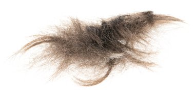 Beyaz arka planda saç tokası izole edilmiş. kabarık saç yakın plan.