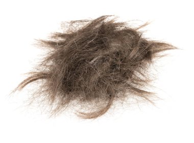 Beyaz arka planda saç tokası izole edilmiş. kabarık saç yakın plan.