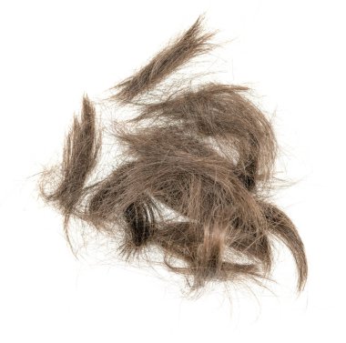 Beyaz arka planda saç tokası izole edilmiş. kabarık saç yakın plan.