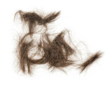 Beyaz arka planda saç tokası izole edilmiş. kabarık saç yakın plan.