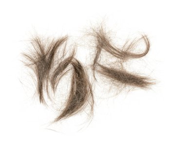 Beyaz arka planda saç tokası izole edilmiş. kabarık saç yakın plan.