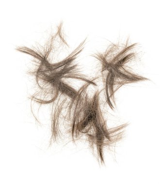 Beyaz arka planda saç tokası izole edilmiş. kabarık saç yakın plan.