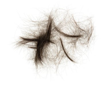 Beyaz arka planda saç tokası izole edilmiş. kabarık saç yakın plan.