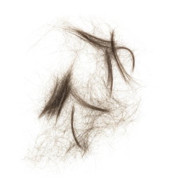 Beyaz arka planda saç tokası izole edilmiş. kabarık saç yakın plan.