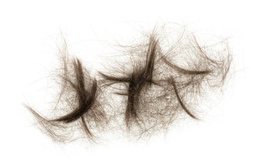 Beyaz arka planda saç tokası izole edilmiş. kabarık saç yakın plan.