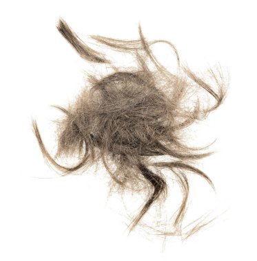 Beyaz arka planda saç tokası izole edilmiş. kabarık saç yakın plan.