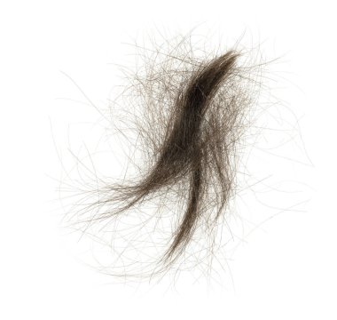 Beyaz arka planda saç tokası izole edilmiş. kabarık saç yakın plan.