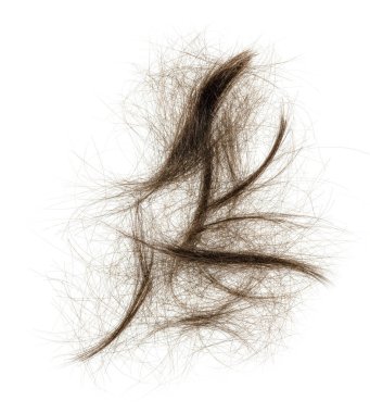 Beyaz arka planda saç tokası izole edilmiş. kabarık saç yakın plan.
