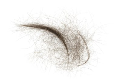 Beyaz arka planda saç tokası izole edilmiş. kabarık saç yakın plan.