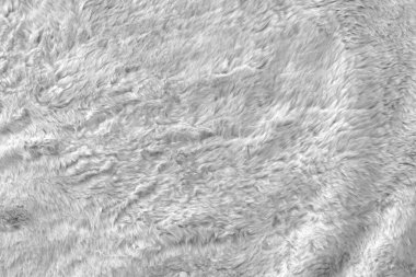 Üst bej desenli beyaz gerçek yün. Açık krem doğal koyun yünü. Pürüzsüz pamuk, tasarımcılar için tüylü kürk dokusu 