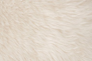 Üst bej desenli beyaz gerçek yün. Açık krem doğal koyun yünü. Pürüzsüz pamuk, tasarımcılar için tüylü kürk dokusu