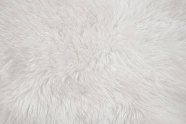 Üst bej desenli beyaz gerçek yün. Açık krem doğal koyun yünü. Pürüzsüz pamuk, tasarımcılar için tüylü kürk dokusu