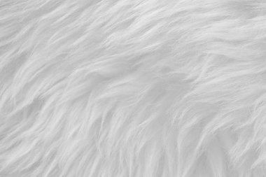 Üst bej desenli beyaz gerçek yün. Açık krem doğal koyun yünü. Pürüzsüz pamuk, tasarımcılar için tüylü kürk dokusu