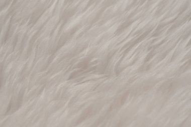 Üst bej desenli beyaz gerçek yün. Açık krem doğal koyun yünü. Pürüzsüz pamuk, tasarımcılar için tüylü kürk dokusu