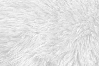 Üst bej desenli beyaz gerçek yün. Açık krem doğal koyun yünü. Pürüzsüz pamuk, tasarımcılar için tüylü kürk dokusu