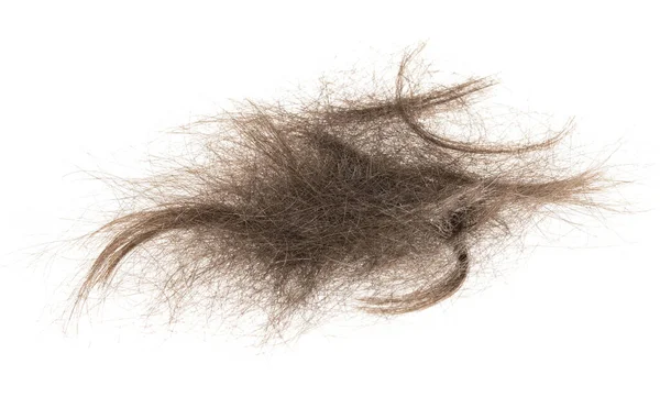 Beyaz arka planda saç tokası izole edilmiş. kabarık saç yakın plan.