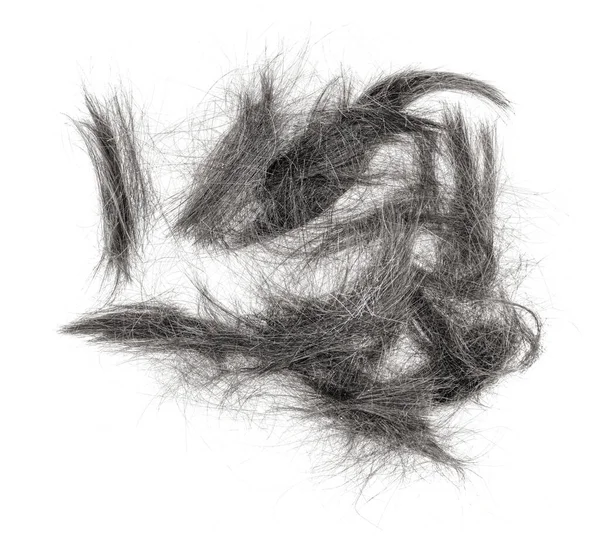 Beyaz arka planda saç tokası izole edilmiş. kabarık saç yakın plan.