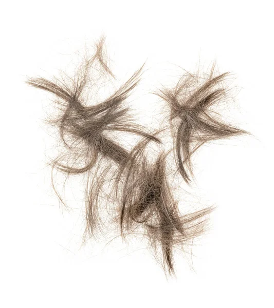 Beyaz arka planda saç tokası izole edilmiş. kabarık saç yakın plan.