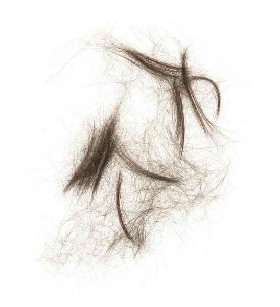 Beyaz arka planda saç tokası izole edilmiş. kabarık saç yakın plan.