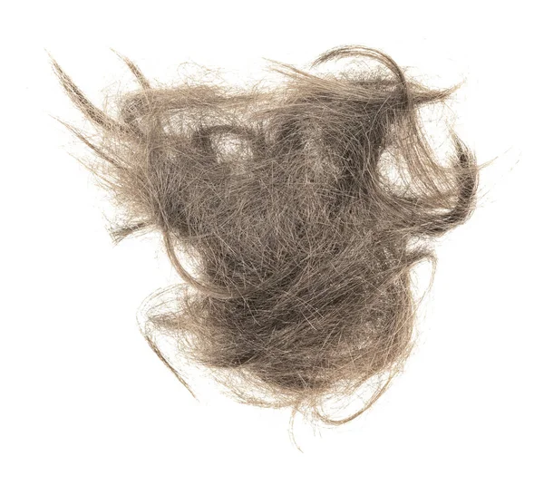 Hair Bundle Isolated White Background Tuft Hair Close — Stock Photo, Image