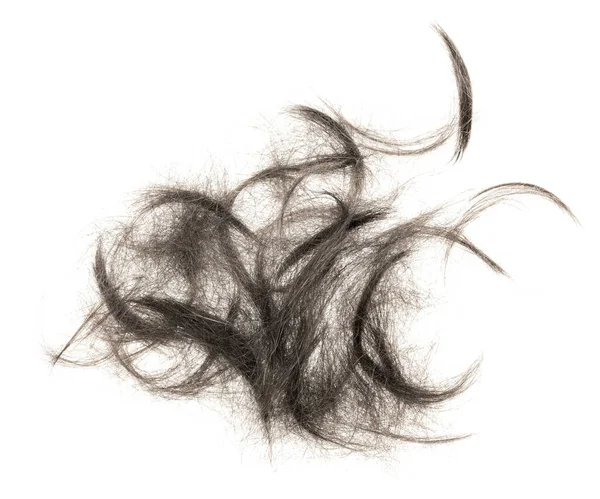 Beyaz arka planda saç tokası izole edilmiş. kabarık saç yakın plan.