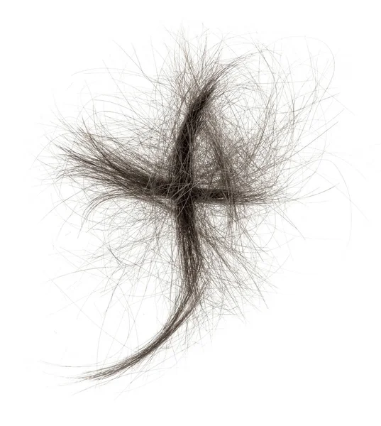 Beyaz arka planda saç tokası izole edilmiş. kabarık saç yakın plan.
