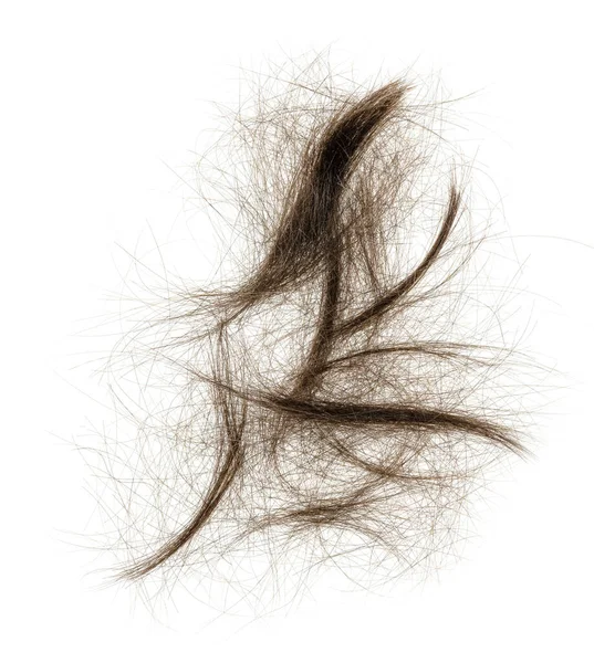 Beyaz arka planda saç tokası izole edilmiş. kabarık saç yakın plan.