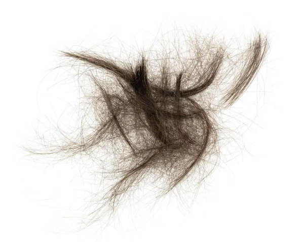Beyaz arka planda saç tokası izole edilmiş. kabarık saç yakın plan.