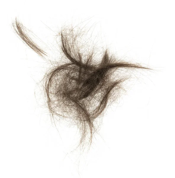 Beyaz arka planda saç tokası izole edilmiş. kabarık saç yakın plan.