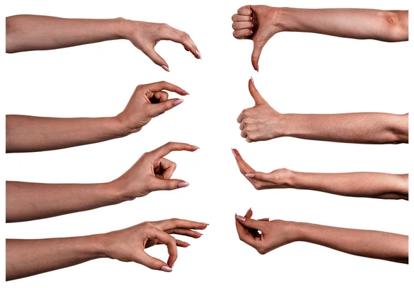 Várias Imagens Definem Mãos Negras Femininas Isoladas Fundo Branco Mostrando — Fotografia de Stock