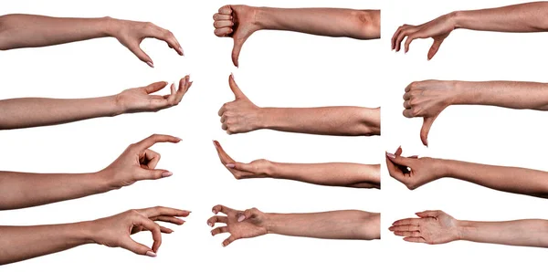 多个图像设置女性黑手隔离的白色背景显示不同的手势 修指甲的非洲女人的双手合十 — 图库照片