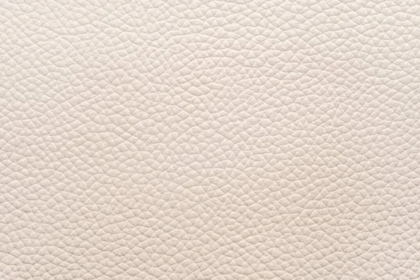 Textura Piel Animal Natural Blanca Piel Con Patrón Antecedentes —  Fotos de Stock