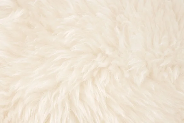 Weiße Echte Wolle Mit Beigem Hintergrund Helle Cremefarbene Schafwolle Nahtlose — Stockfoto