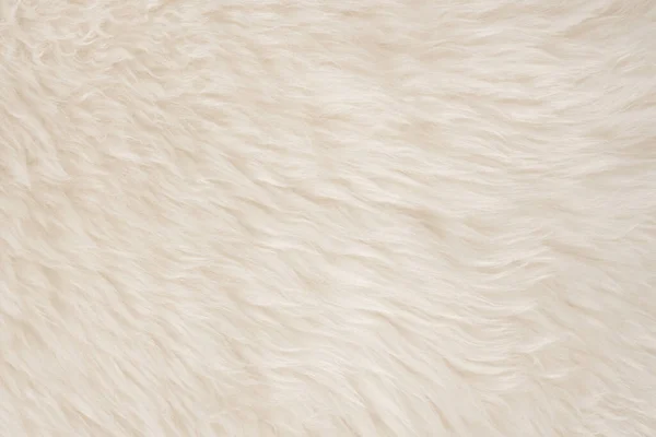 Lana Reale Bianca Con Sfondo Beige Texture Superiore Lana Pecora — Foto Stock