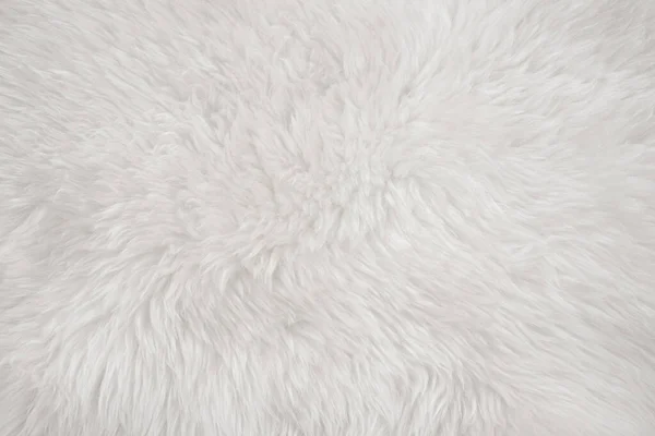 Lana Real Blanca Con Fondo Beige Textura Superior Crema Ligera — Foto de Stock