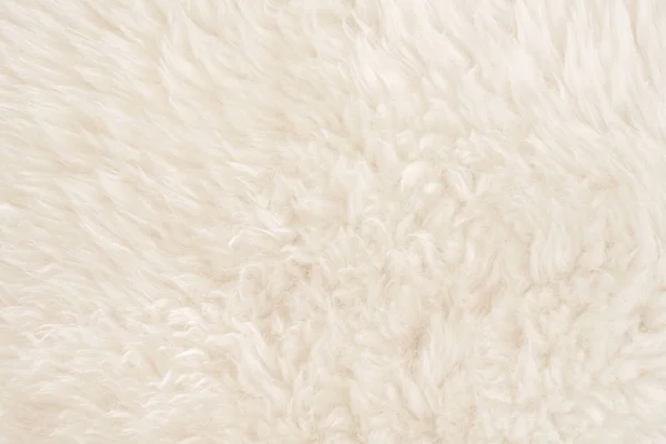Lana Reale Bianca Con Sfondo Beige Texture Superiore Lana Pecora — Foto Stock