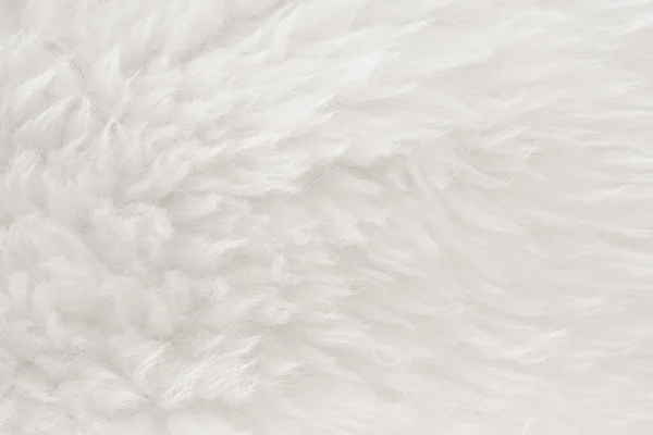 White real wool with beige top texture background. light cream natural sheep wool.  seamless plush cotton, texture of fluffy fur for designers