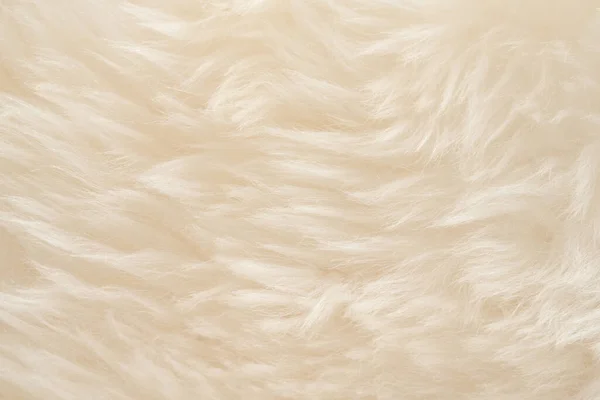 Fehér Igazi Gyapjú Bézs Felső Textúra Háttér Könnyű Krém Természetes — Stock Fotó