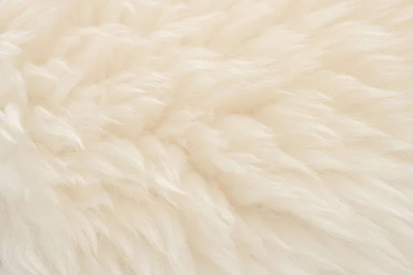 ベージュの上質感の背景を持つ白い本物のウール 軽いクリーム天然羊のウール シームレスな綿 デザイナーのためのふわふわの毛皮の質感 — ストック写真