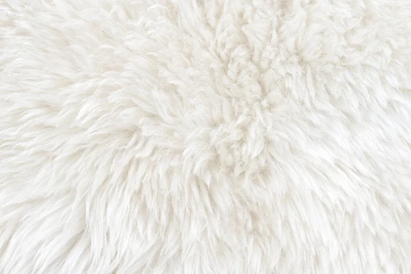 White real wool with beige top texture background. light cream natural sheep wool.  seamless plush cotton, texture of fluffy fur for designers