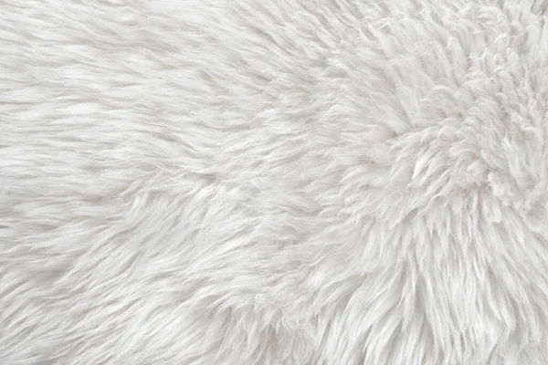 Üst Bej Desenli Beyaz Gerçek Yün Açık Krem Doğal Koyun — Stok fotoğraf