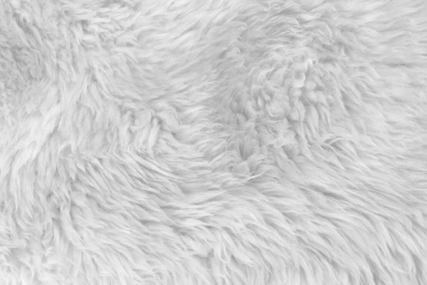 Witte Echte Wol Met Beige Top Textuur Achtergrond Lichte Room — Stockfoto