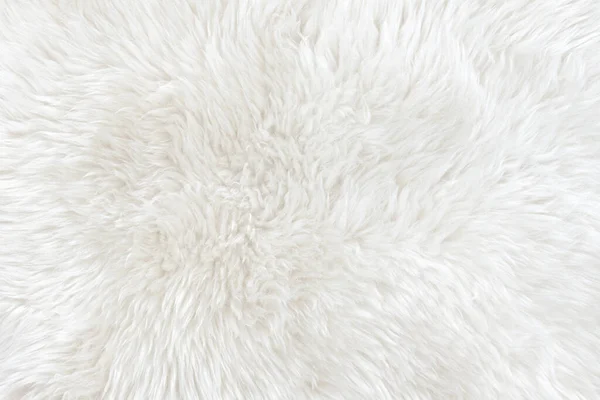 Weiße Echte Wolle Mit Beigem Hintergrund Helle Cremefarbene Schafwolle Nahtlose — Stockfoto