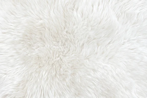 White Real Wool with Beige Top Texture Background. Light Cream Natural  Sheep Wool. Seamless Plush Cotton, Texture of Fluffy Fur Stock Photo -  Image of natural, carpet: 170361972