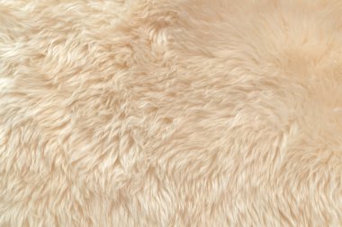 Beyaz yumuşak yün dokusu, pamuk, hafif doğal hayvan yünü, yakın çekim beyaz tüylü doku, bej renkli yün, şeftali renkli kürk